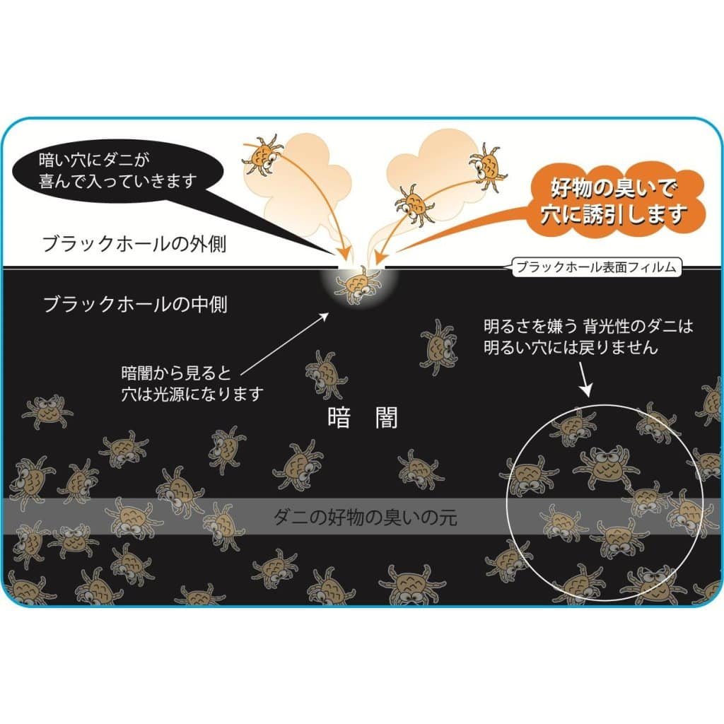 背光性橫切面機制圖