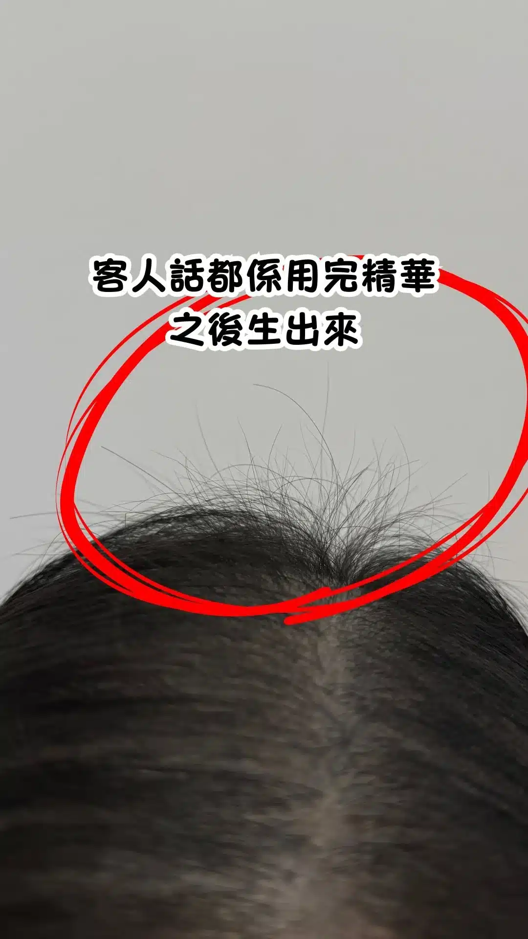 客人評價12
