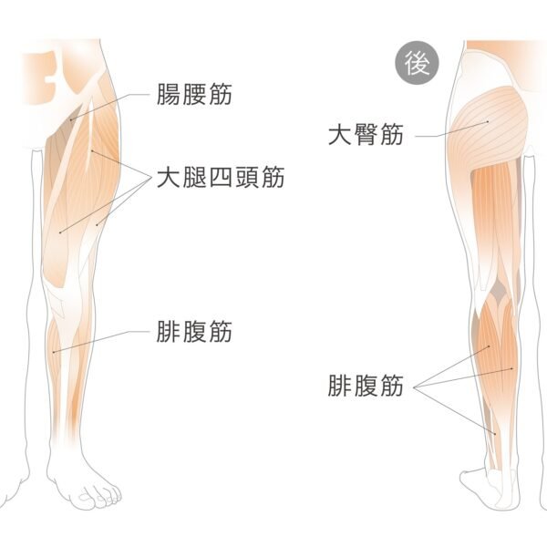 KAMOLEG 2.0 室內健身拖鞋 &MEDICAL
